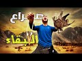 الحياة البرية العيش الحر تحدي صيد الحمام البري أساليب البقاء الصيد وطبخ