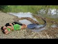 Build fish trap catch big catfish, Smart fishing video - Survival skills, primitive life