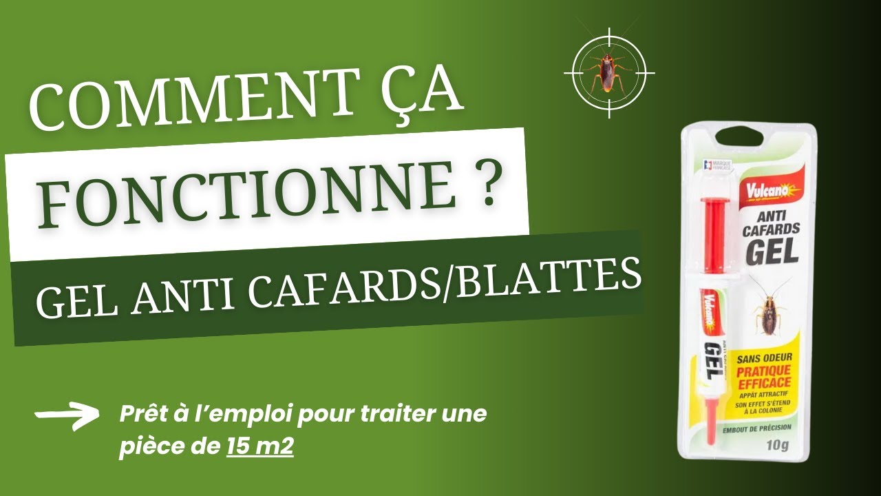 Préparez-vous à dire adieu aux cafards et aux blattes grâce à notre produit vedette 👌💥