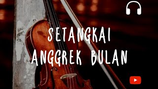 Biola Setangkai Anggrek Bulan