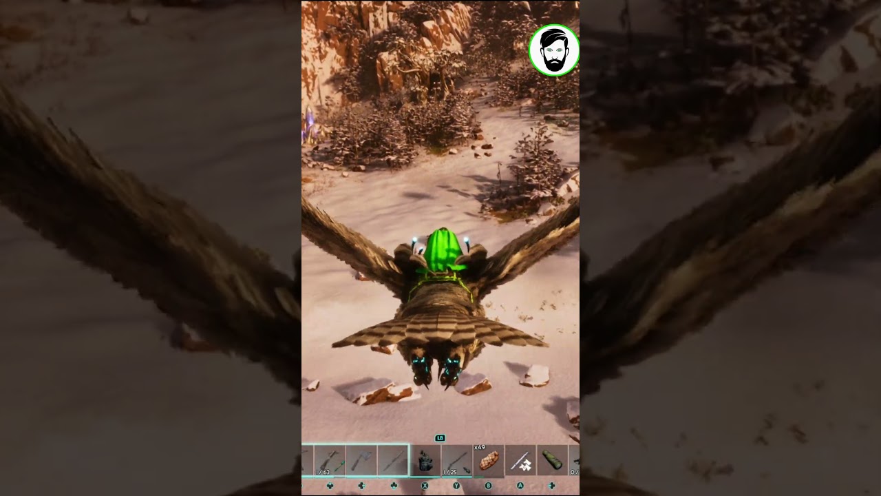 В поисках Овис 