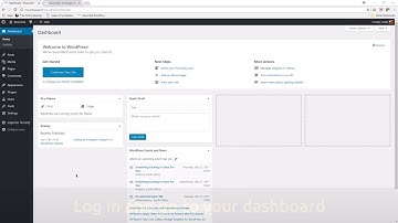 Adding a SnapWidget Instagram widget to your Wordpress website using the Twenty Ten theme