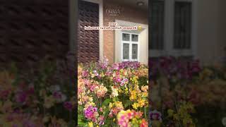 Download Lagu Anggrek di depan rumah MP3 Download Lagu Anggrek di depan rumah MP3