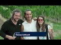 Weinlese & Party: Diese Erntehelfer zahlen, um bei der Weinernte dabei zu sein! | BR24 vor Ort