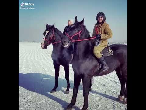 лошад - YouTube