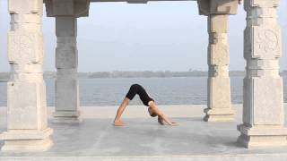 Sun Salutation A - Dany Sa screenshot 4