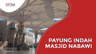 Detik-Detik Terbukanya Payung Indah di Masjid Nabawi