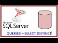 SQL Server - Query Table Record Data via TSQL - SELECT DISTINCT