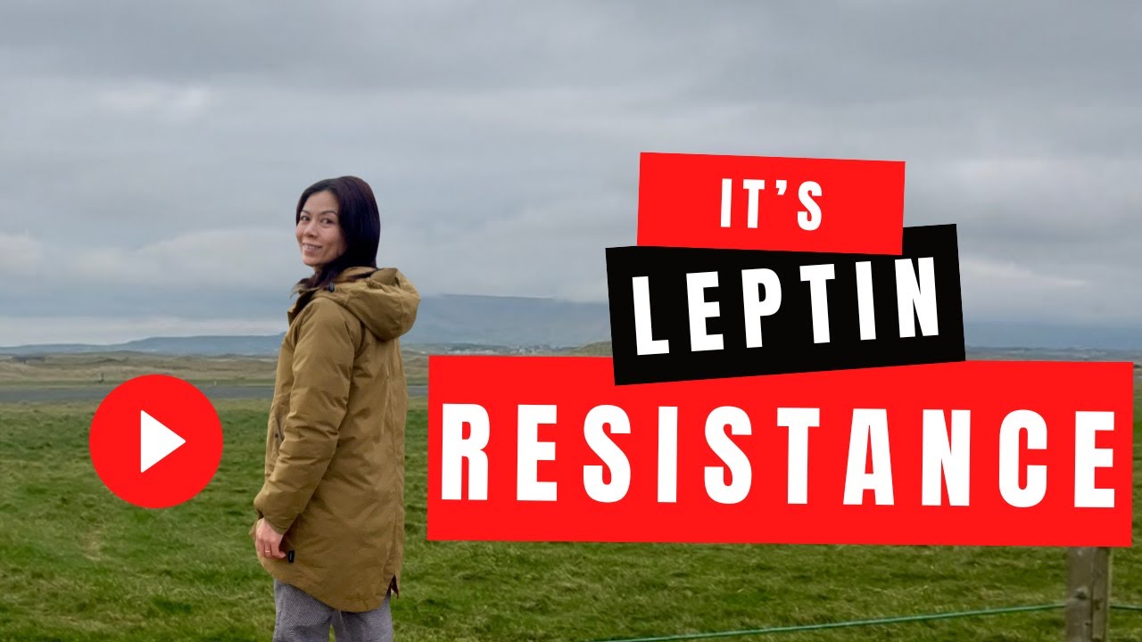 Why You Can't Lose Weight Despite Eating Less It's Not Calories—It's Your Fuel Gauge