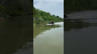 Just a little Napanee water wheelie #canam #renegade #canamoffroad #wheelie