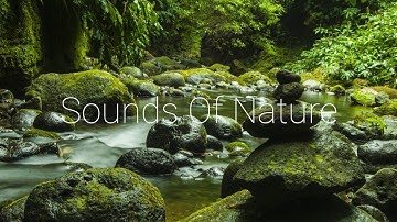 4K Video | Tiếng Nước Chảy