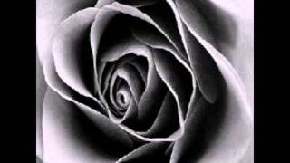 Staind everything changes legendado.mpg