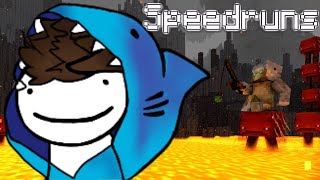 Villager Manhunt FINALE premier later - Minecraft Speedrun Stream