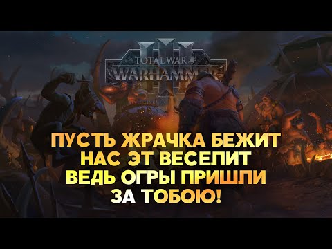 Королевства Огров. Фракции Total War Warhammer 3