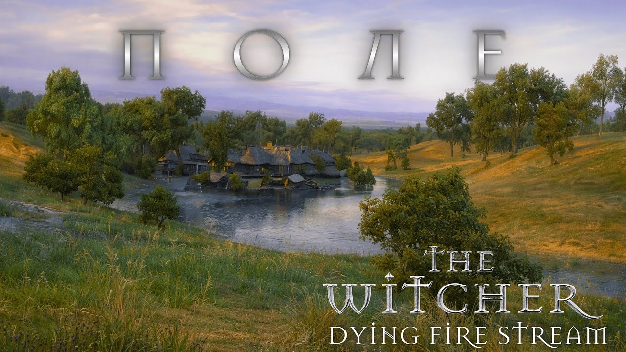 Ведьмак. Вышел в Поле!