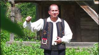 Liviu Dica  - Am o viata si o traiesc