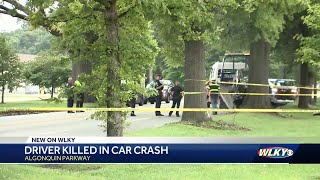 Woman dies after crashing into tree off Algonquin Parkway