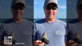 North Carolina man finds megalodon shark tooth buried on beach