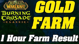 TBC Prep! 1 Hour Result From This Classic WoW Goldfarm! Anniversary WoW