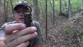 Arkansas Squirrel Hunt