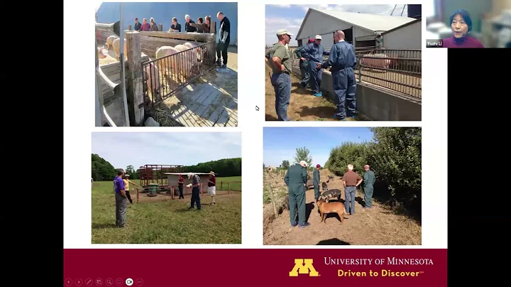 Organic Swine Production: Challenges and Opportunities