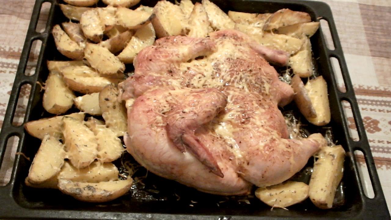 Пол куры в духовке. Курица в духовке. Курица с картошкой. Курица с картошкой в духовке. Курица с картошкой в духовке на Протвине.