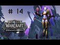 [World of Warcraft] Let's level a Draenei Paladin #14
