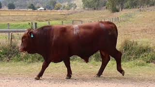 LOT 10 GRH250011