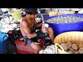 Scary fast top 5 amazing fruits cutting skills  thai street food