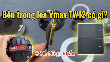 Bên trong loa Vmax TW12 có gì?