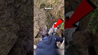 This Man Rescues a Puppy Trapped in a Hole 🥺🐶 #puppy #dog #rescue