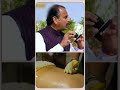 Body Detox करने का Powerful तरीका | DIP Diet & Panchakarma Benefits | Acharya Manish JI