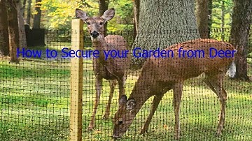 Gardeneer By Dalen DX 7 Deer X Protective Netting 7