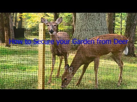 Gardeneer By Dalen DX 7 Deer X Protective Netting 7 X 100
