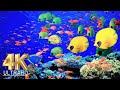 4K Aquarium for Relaxation 🐠 Water Sound 🐠Relax Meditation Music 🐠 4K UHD Screensaver.