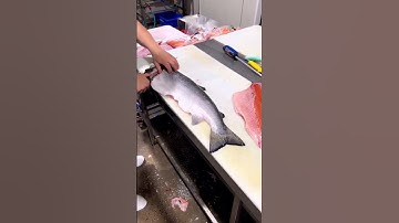 Thumbnail of Tutorial memotong (fillet) ikan salmon dengan benar dan cepat #shorts #short