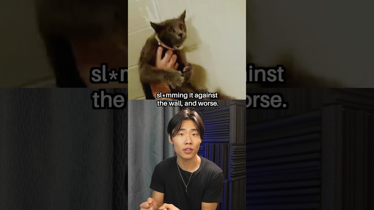 4Chan Saved This CAT From Its Ab*sive Owner #shorts