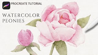 How to Paint Watercolor Peony Flowers in Procreate  | Realistic Watercolor Peonies Tutorial screenshot 1