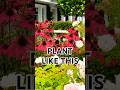🌸 🌿 GARDEN TIP Не сажайте цветы одинаковой высоты