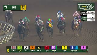 Vidéo de la course PMU PRIX MANSO