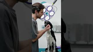 Pati Sigortası Ameliyatı, Her Hastalığı Karşılar Mı? I Simpaş Sigorta