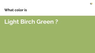 Light Birch Green color #9db567 hex color - Orange color - Cool color 9db567 Russet Orange Color E47127 Hex Color Orange Color Cool Color E47127