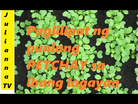 Video: Mga Lalagyan Ng Punla. Bahagi 1