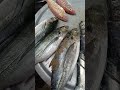 18/6/26இன்று ரீத்தா அம்மாவிடம் என்ன மீன் இருக்குன்னு பார்ப்போம் friends#food#seafish#shorts#trending