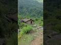 500-Year-Old Himalayan Water Mill Still Running | Traditional Village Life in Nepal#explore #nature
