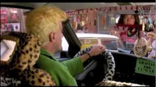 Mujeres Al Borde De Un Ataque De Nervios - Mambotaxi