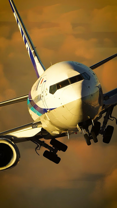 ANA 737 beautiful evening arrival into Kansai International, Osaka 🇯🇵 #shorts