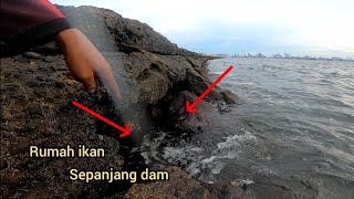 Borong strike‼️ bongkar tehnik dan titik lokasinya || tehnik mancing saat baratan||Dam merah Priok