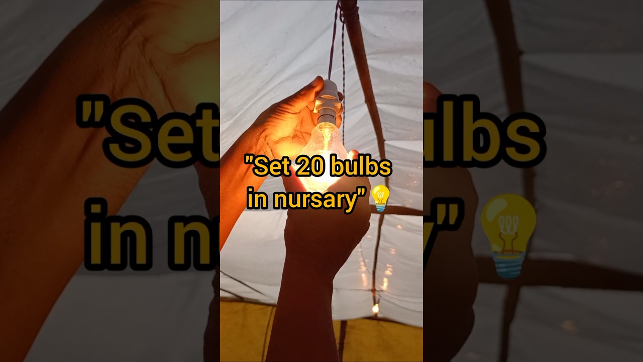 Winter Nursery Care ✅ 20 Bulbs Lighting Setup | Crore Wali Kheti