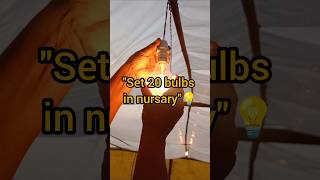 Winter Nursery Care ✅ 20 Bulbs Lighting Setup | Crore Wali Kheti#nursery #kisan #papitakikheti #farm